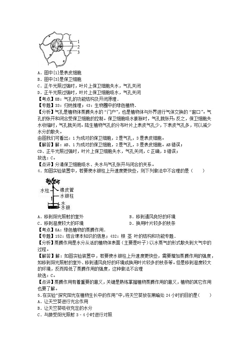 生物济南版七年级上第二单元第一章章末试卷3第2页