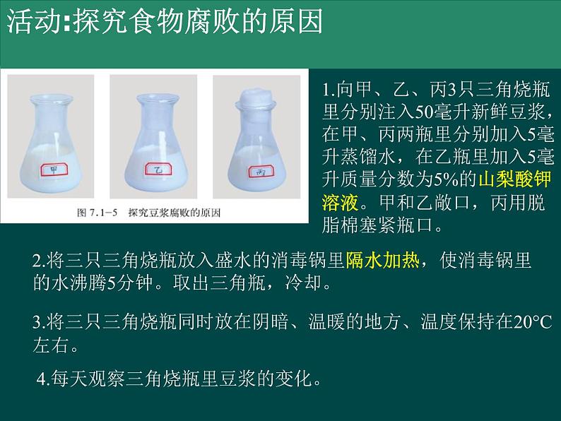 济南版生物八年级下册7.1.2食品保存课件第5页