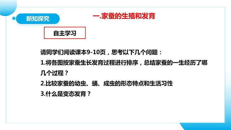 【核心素养目标】人教版初中生物八年级下册7.1.2《昆虫的生殖和发育》课件+视频+教学设计+同步分层练习(含答案)06