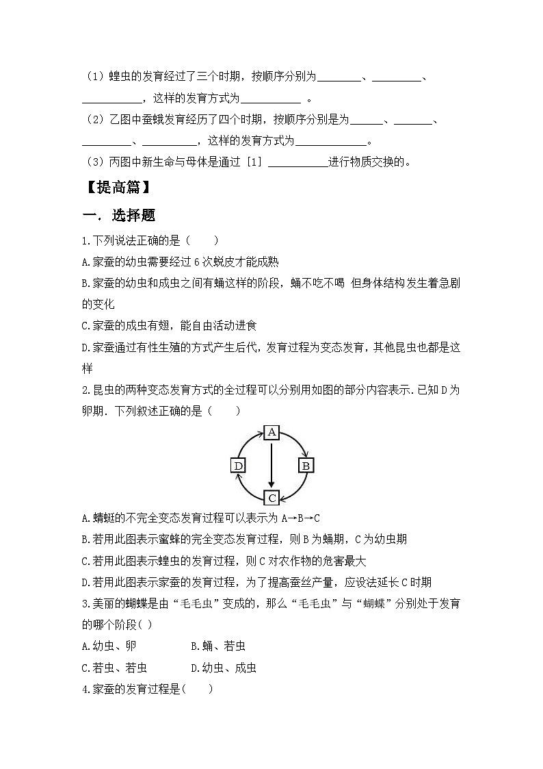 【核心素养目标】人教版初中生物八年级下册7.1.2《昆虫的生殖和发育》课件+视频+教学设计+同步分层练习(含答案)02
