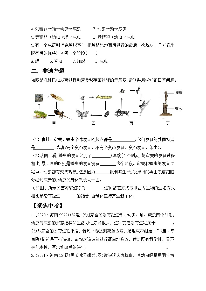 【核心素养目标】人教版初中生物八年级下册7.1.2《昆虫的生殖和发育》课件+视频+教学设计+同步分层练习(含答案)03