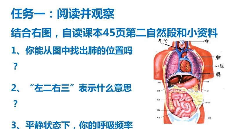鲁科版（五四学制）生物七年级上册 4.3.2 发生在肺内的气体交换 课件(2)03