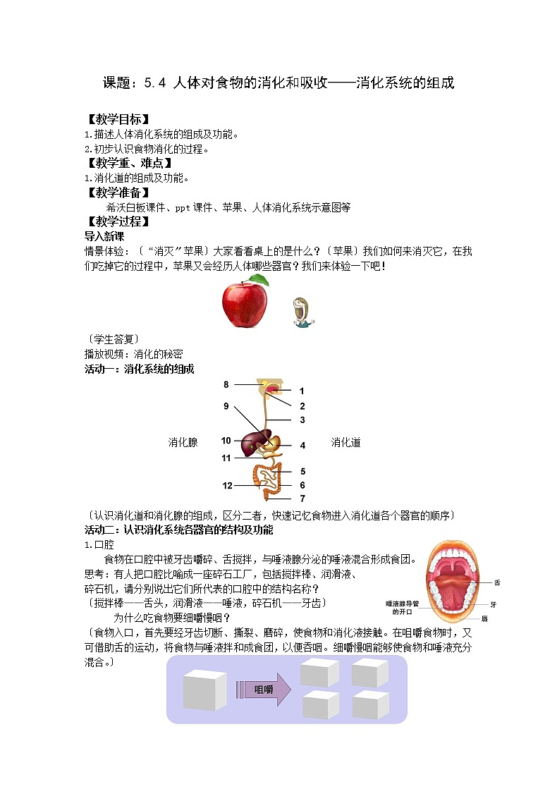 苏科版生物七年级上册 3.5.4 人体对食物的消化和吸收——消化系统的组成 学案第1页