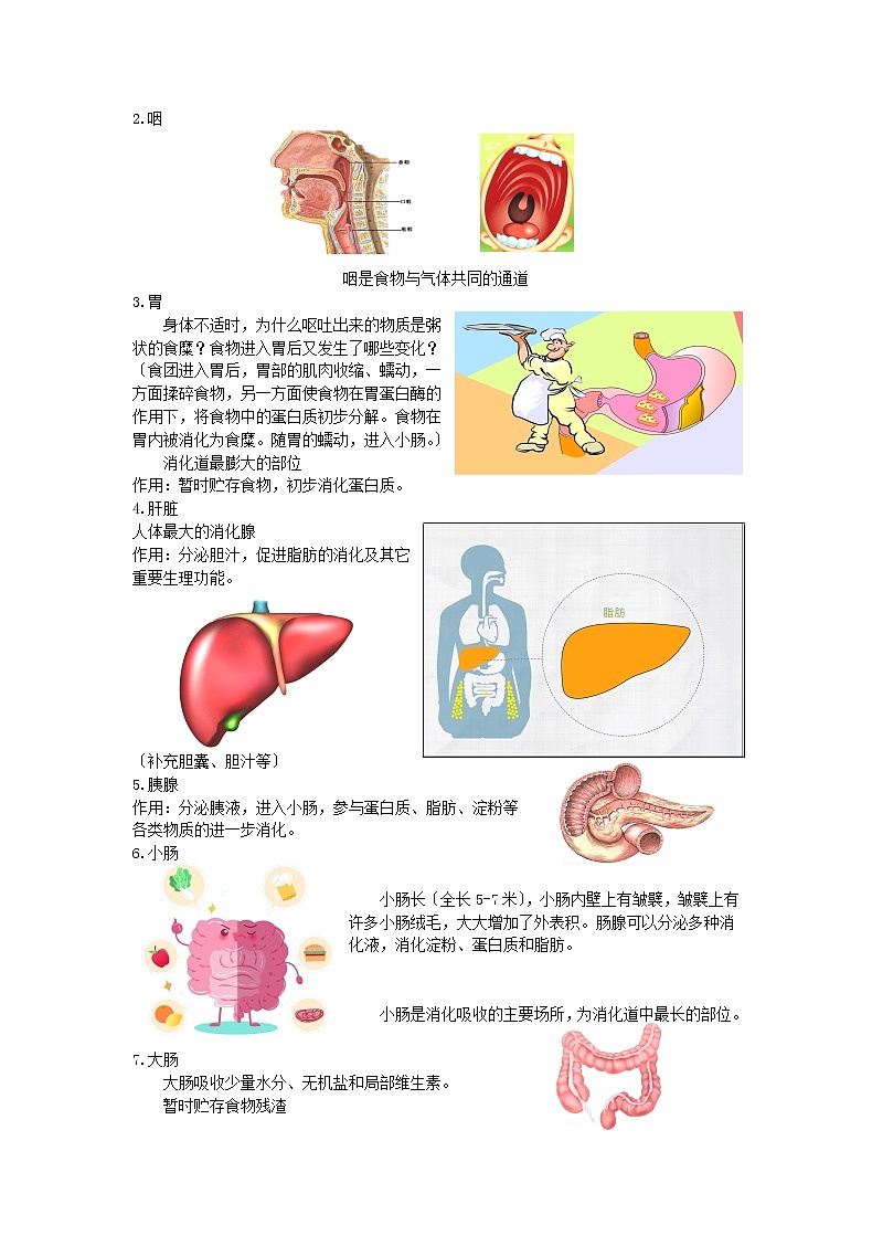 苏科版生物七年级上册 3.5.4 人体对食物的消化和吸收——消化系统的组成 学案第2页