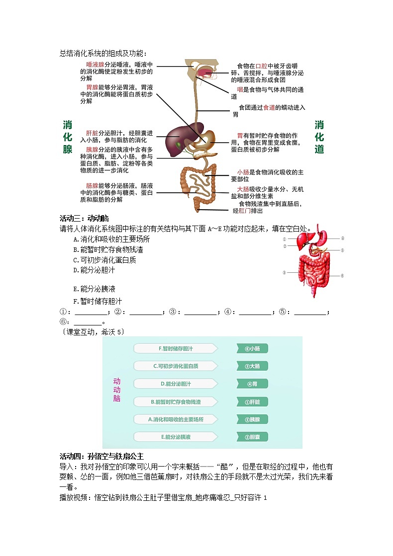 苏科版生物七年级上册 3.5.4 人体对食物的消化和吸收——消化系统的组成 学案第3页