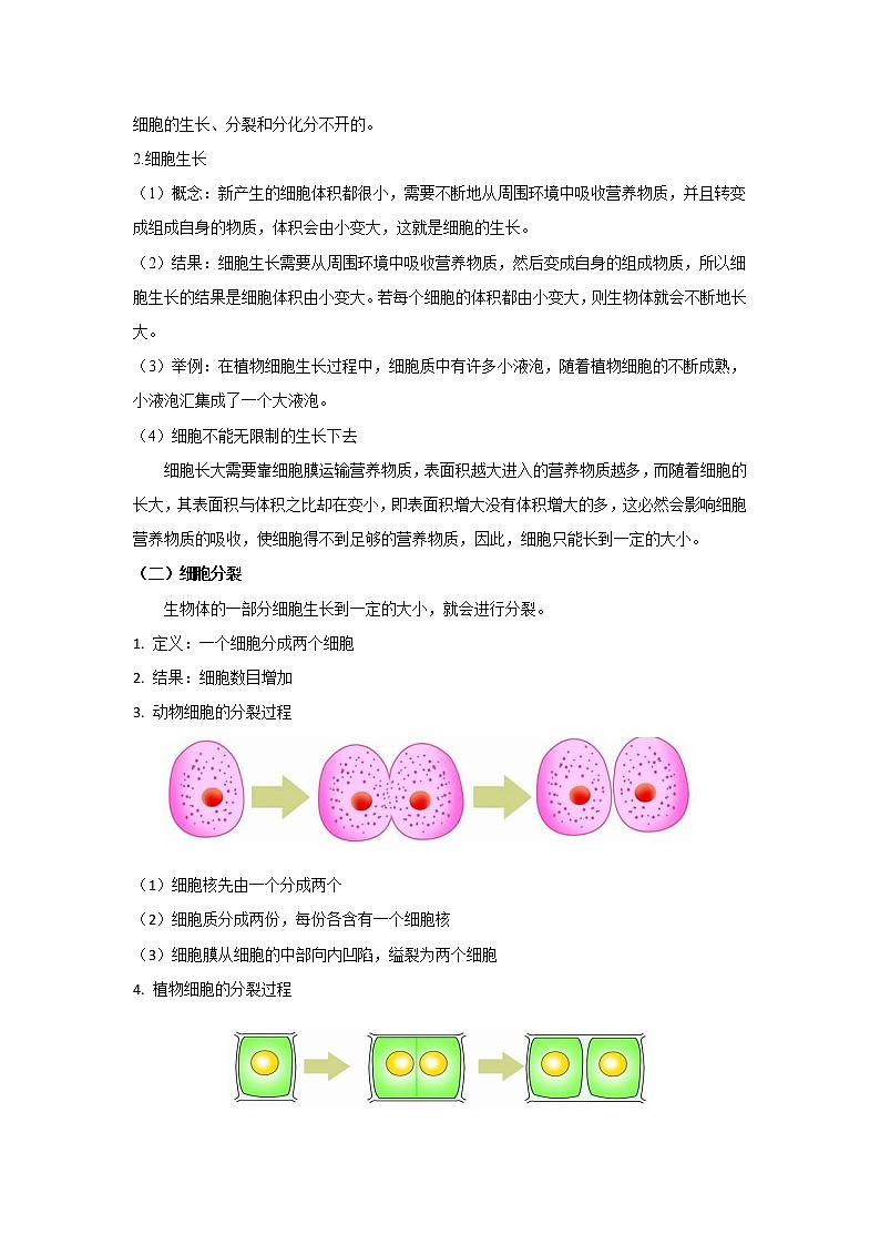 2.2.1《细胞通过分裂产生新细胞》教学设计  教案第2页