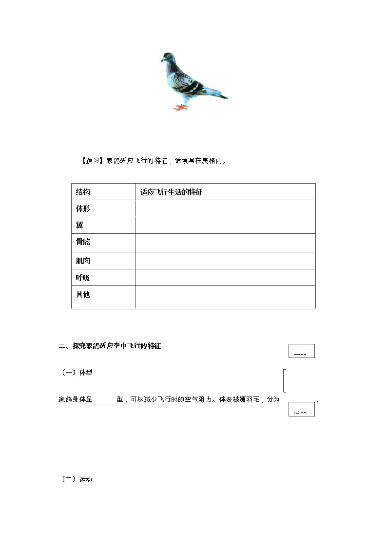 苏科版生物七年级下册 5.12.1 鸟类 学案02