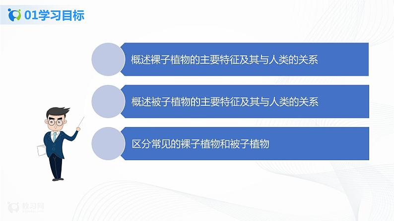 3.1.2 种子植物 第2课时 课件PPT+教案+同步练习03
