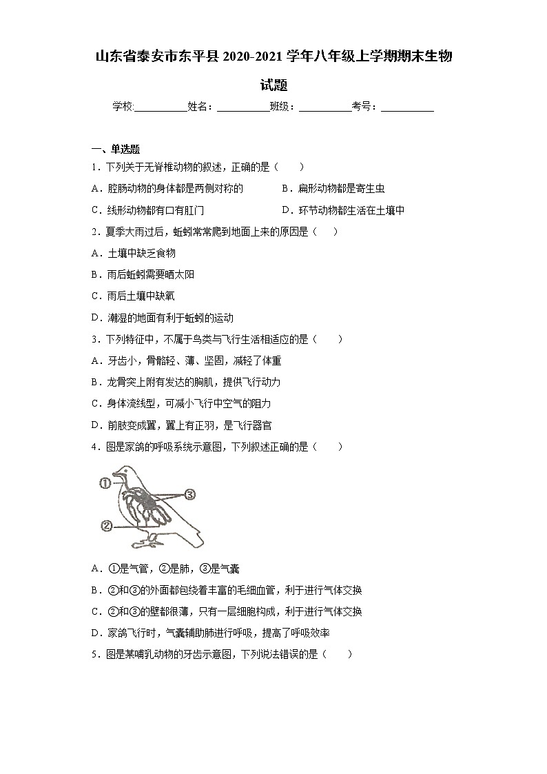 山东省泰安市东平县2020-2021学年八年级上学期期末生物试题(word版 含答案)01