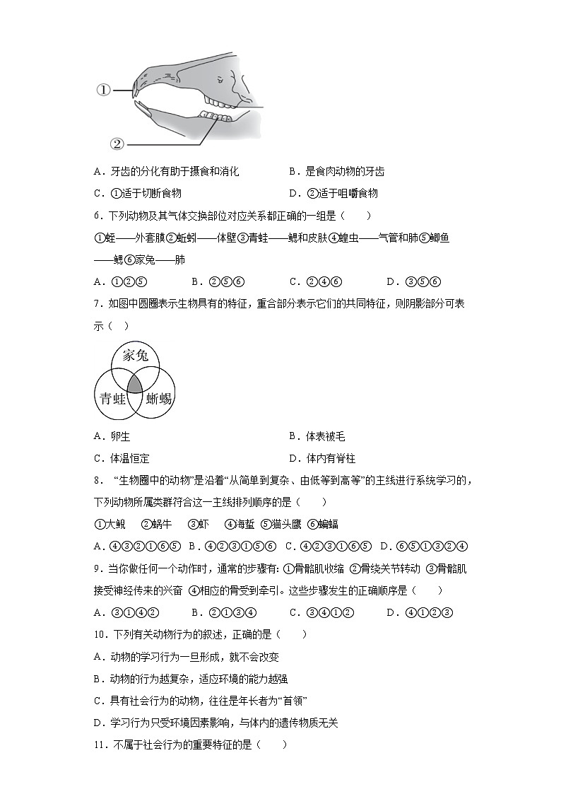山东省泰安市东平县2020-2021学年八年级上学期期末生物试题(word版 含答案)02
