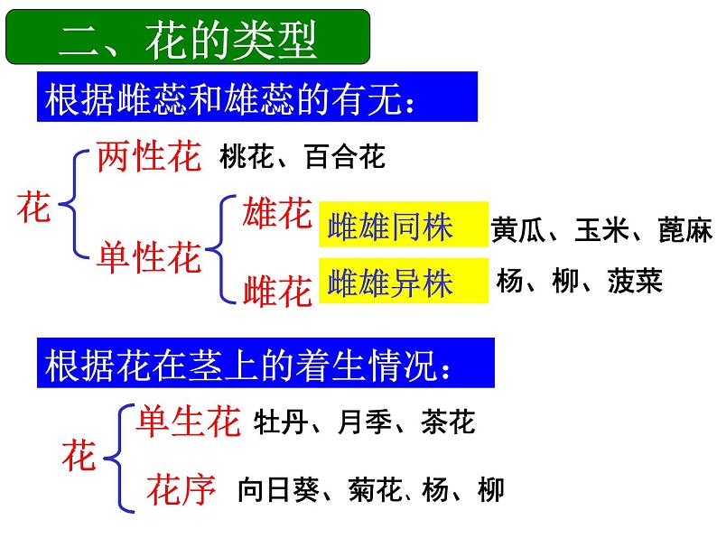 2020-2021学年济南版八年级生物上册总复习课件第5页