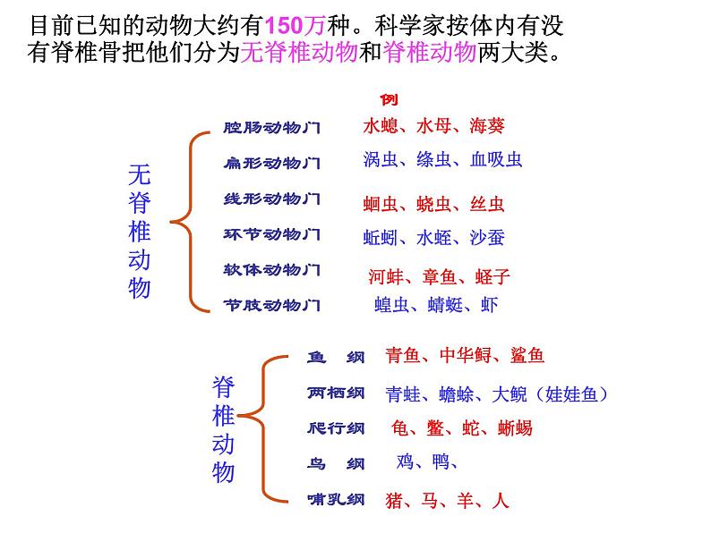新人教版初中生物八年级上册 第五单元第一章复习课件PPT第1页