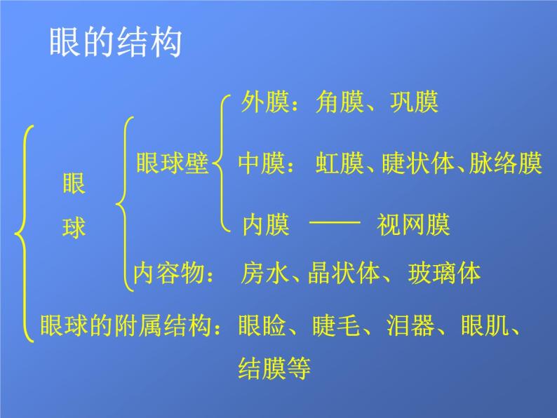 苏科版生物八年级上册 6.16.2 人体对信息的感知——眼与视觉 课件04