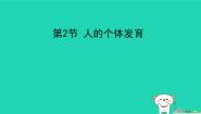 人的个体发育PPT课件免费下载