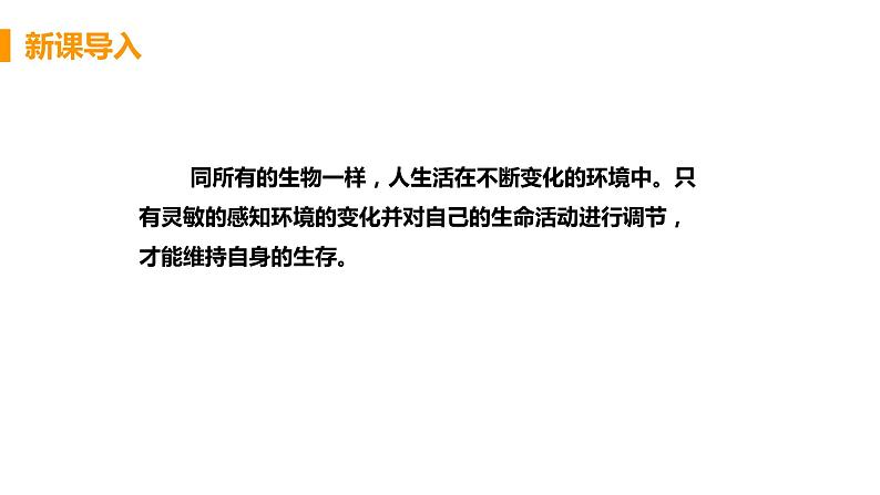 2021年初中生物人教版七年级下册 第一节 人体对外界环境的感知 课件第5页