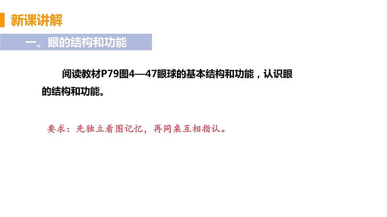 2021年初中生物人教版七年级下册 第一节 人体对外界环境的感知 课件第8页