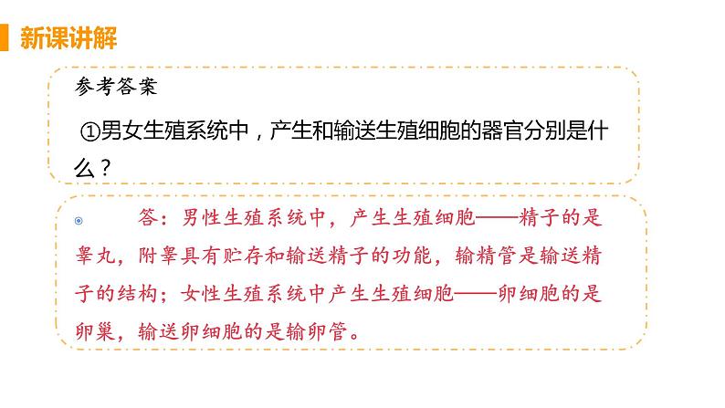 2021年初中生物人教版七年级下册 第二节 人的生殖 课件第8页
