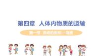 生物七年級下冊第一節(jié) 流動的組織──血液圖文ppt課件