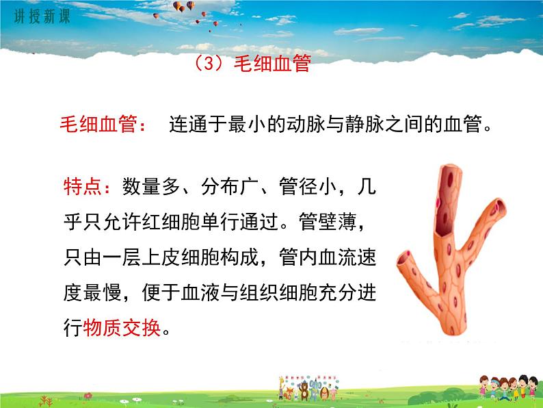 北师大版生物七年级下册-第2节血液循环-第1课时血液流动的管道【课件】第8页