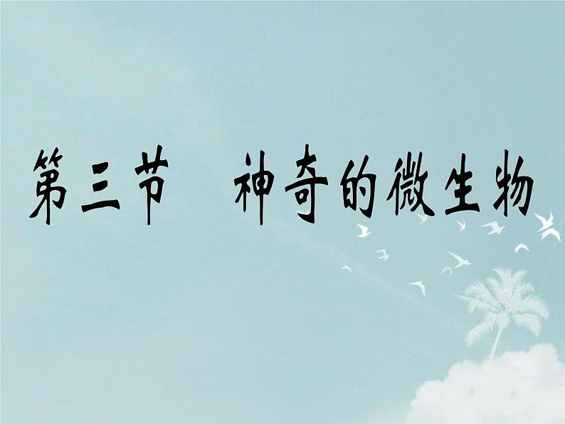 14.3神奇的微生物 课件(5)苏教版八年级生物上册01