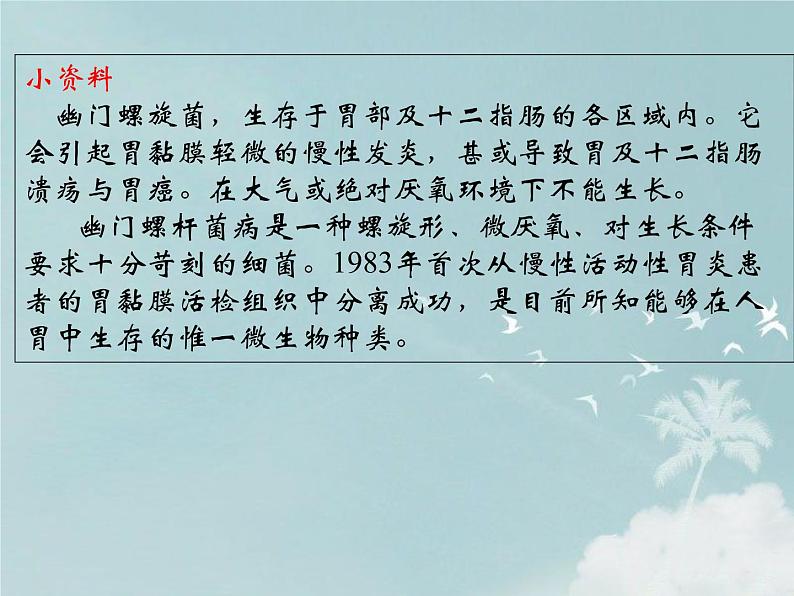 14.3神奇的微生物 课件(5)苏教版八年级生物上册04