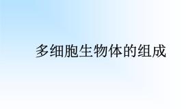 初中生物苏教版七年级上册第2单元 生物体的结构层次第4章 生物体的组成第二节 多细胞生物体的组成备课ppt课件