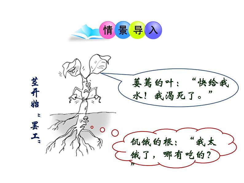 5.4植物茎的输导功能 课件(25)苏教版七年级生物上册03