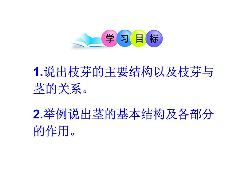 5.4植物茎的输导功能 课件(25)苏教版七年级生物上册05