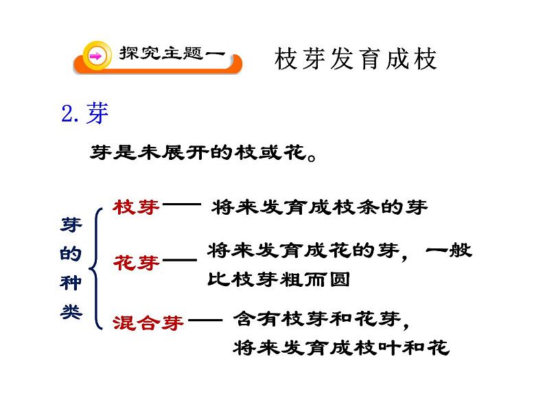 5.4植物茎的输导功能 课件(25)苏教版七年级生物上册07