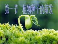 生物七年级上册第一节 植物种子的萌发教学演示ppt课件