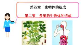初中生物苏教版七年级上册第二节 多细胞生物体的组成背景图ppt课件