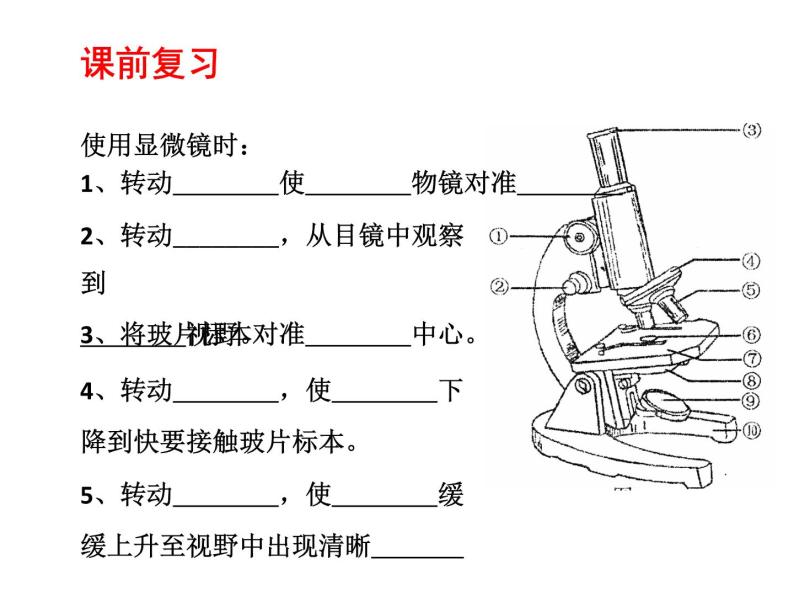 植物细胞的结构和功能PPT课件免费下载02