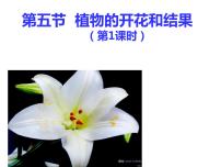初中生物苏教版七年级上册第五节 植物的开花和结果教学ppt课件