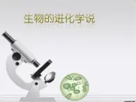 生物进化的学说PPT课件免费下载