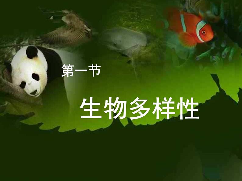 15.1生物多样性 课件(7)苏教版八年级生物上册第1页