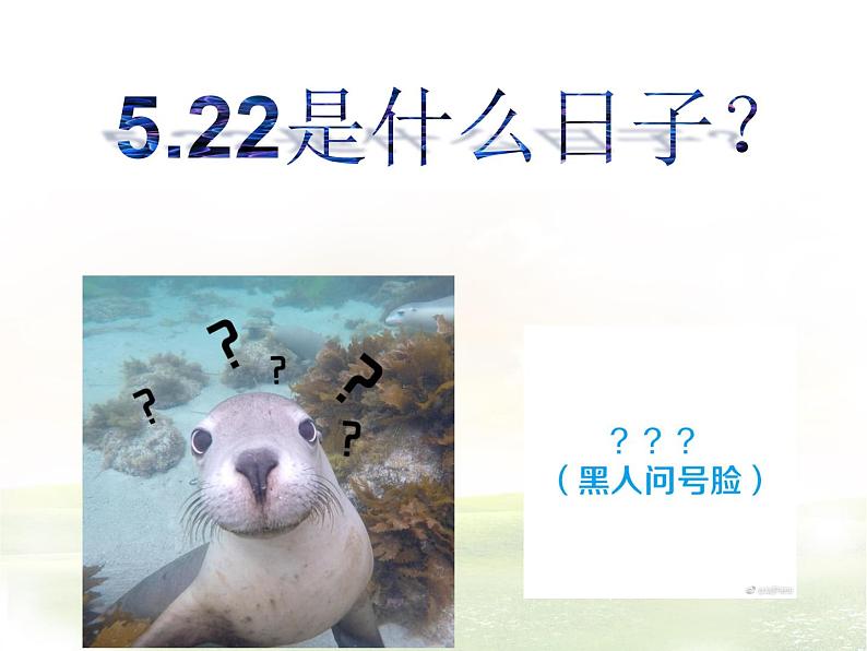 15.1生物多样性 课件(6)苏教版八年级生物上册02