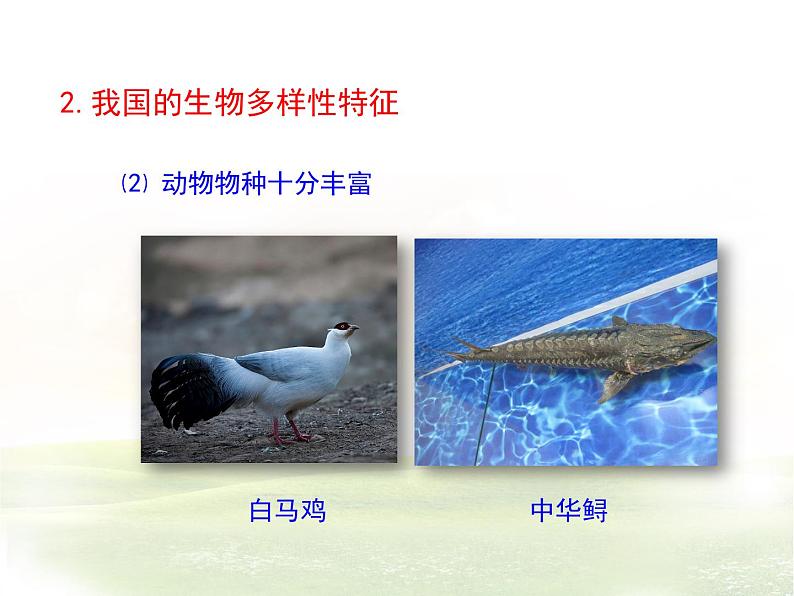 15.1生物多样性 课件(6)苏教版八年级生物上册08