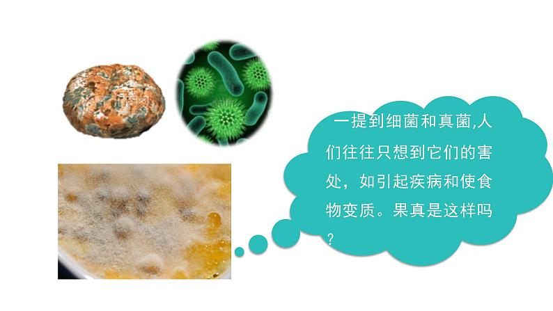 人教版八年级生物上册5.4.5人类对细菌和真菌的利用 课件第2页
