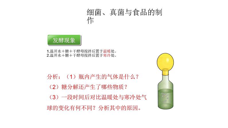 人教版八年级生物上册5.4.5人类对细菌和真菌的利用 课件第6页