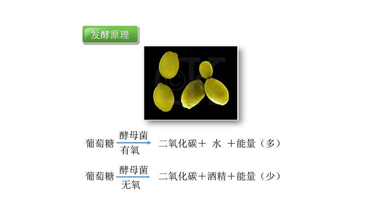 人教版八年级生物上册5.4.5人类对细菌和真菌的利用 课件第7页