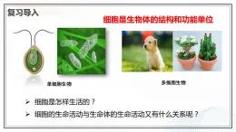 北师大版七年级生物上册：3.2 细胞是生命活动的单位-课件