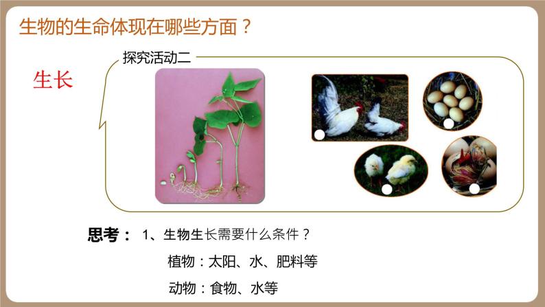 第二课时 生物区别于非生物的特征课件PPT06