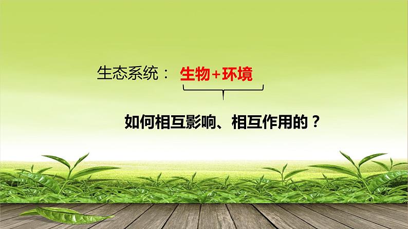 第2节 生物与环境的相互影响课件PPT第1页