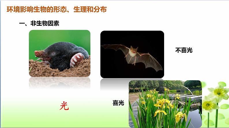 第2节 生物与环境的相互影响课件PPT第6页