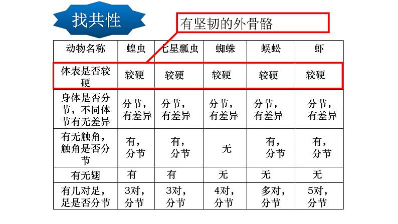 5.1.3 节肢动物课件PPT07