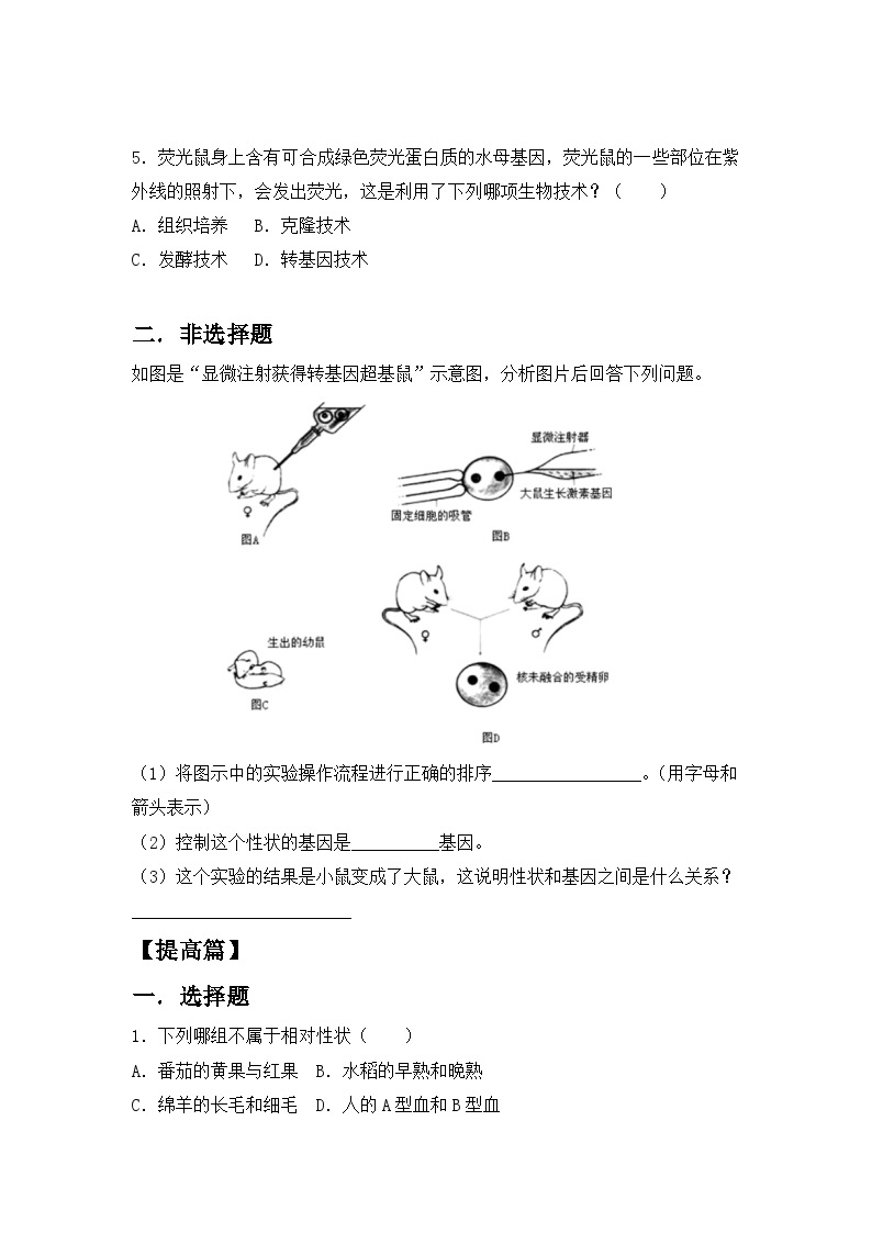 【核心素养目标】人教版初中生物八年级下册7.2.1《基因控制生物的性状 》课件+视频+教学设计+同步分层练习（含答案）02