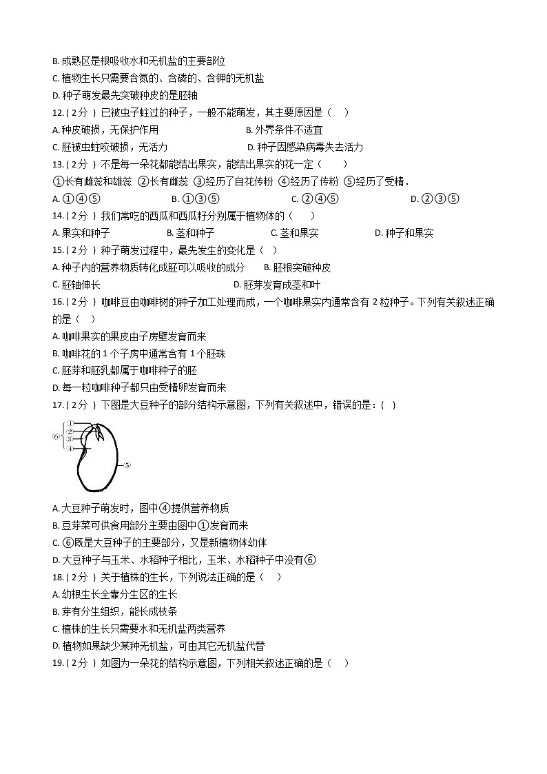 第三单元 第二章 《被子植物的一生》能力测试题-2021-2022学年七年级生物人教版上册(word版含答案)第2页