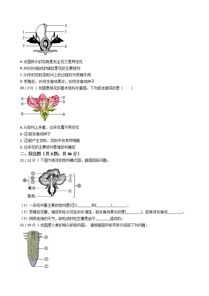 第三单元 第二章 《被子植物的一生》能力测试题-2021-2022学年七年级生物人教版上册(word版含答案)第3页