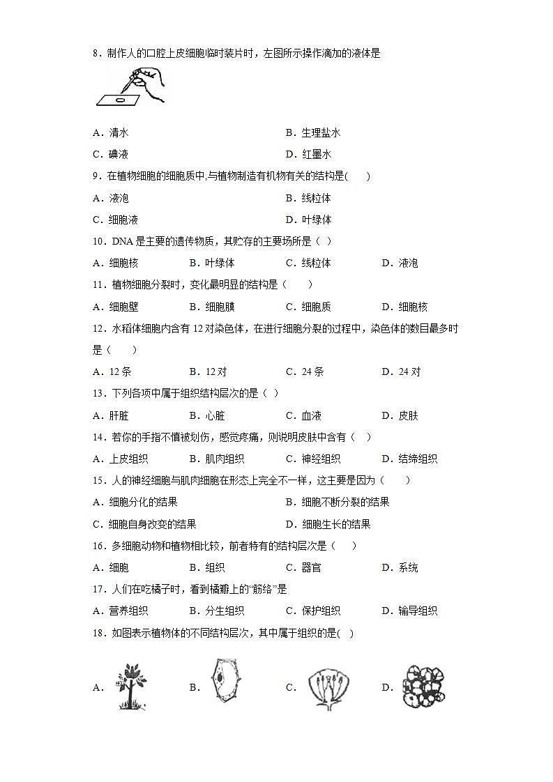 吉林省四平市鐵西區(qū)2020-2021學(xué)年七年級(jí)上學(xué)期期中生物試題(word版含答案)第2頁