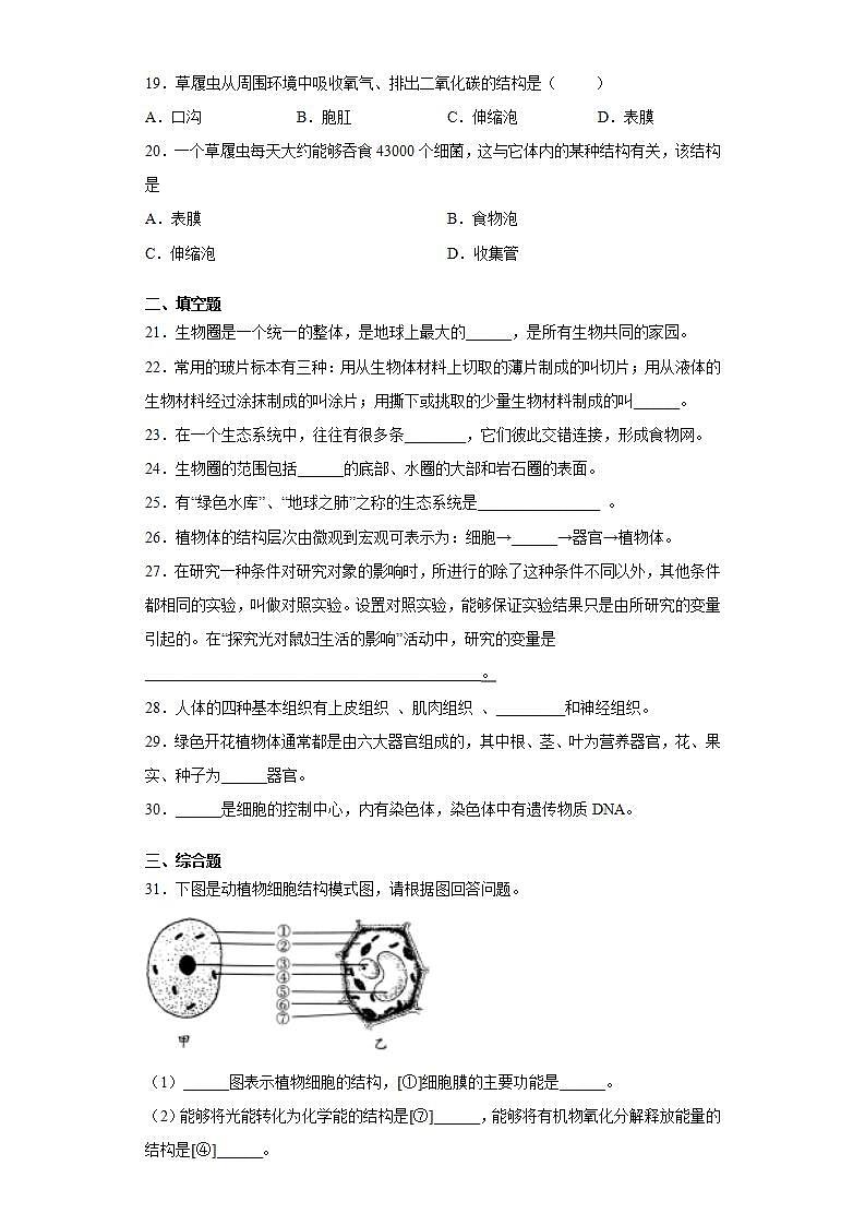吉林省四平市鐵西區(qū)2020-2021學(xué)年七年級(jí)上學(xué)期期中生物試題(word版含答案)第3頁